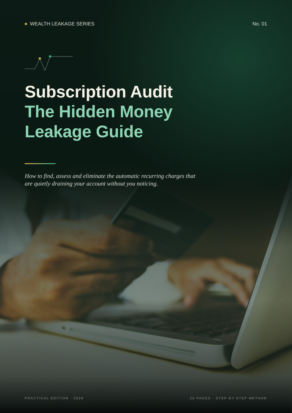 Find the Money You're Losing Every Month (PDF Guide)